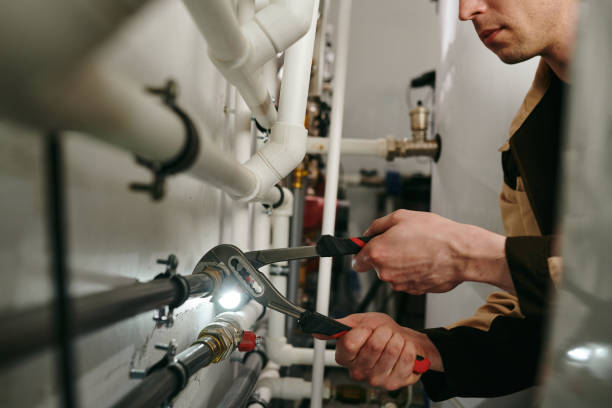 Best Local Plumber Services  in Ferdand, IN