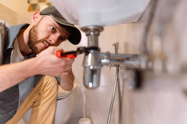 Best Local Plumber Services  in Ferdand, IN