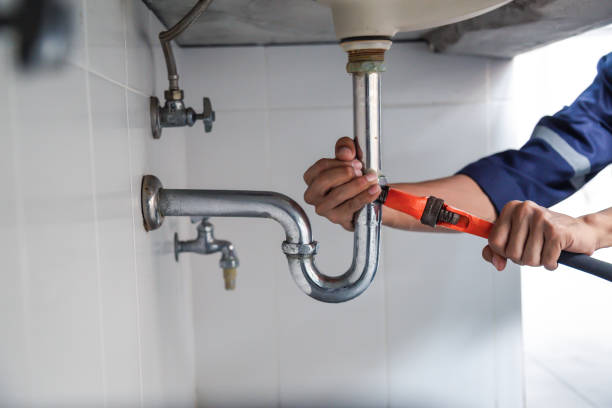 Best Clogged Drain Plumber  in Ferdand, IN