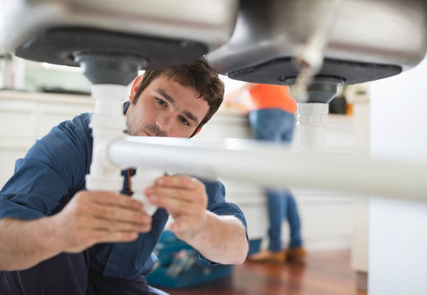 Best Commercial Plumbing Services  in Ferdand, IN
